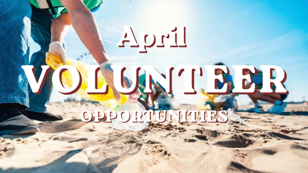 Volunteer April